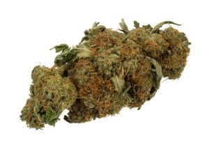 Marijuana-Cannabis-Weed-Bud, Photo by Evan-Amos, February 2015. {Public Domain granted by Evan-Amos.}