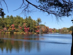 Nashua River in Autumn. Photo by Deborah Fountain.
