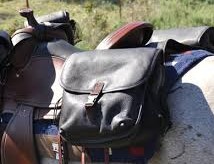 Saddlebags on a Horse. Author DebeeAnn. Creative Commons Liscense Use. C.