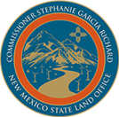 NM SLO LOGO ALT.